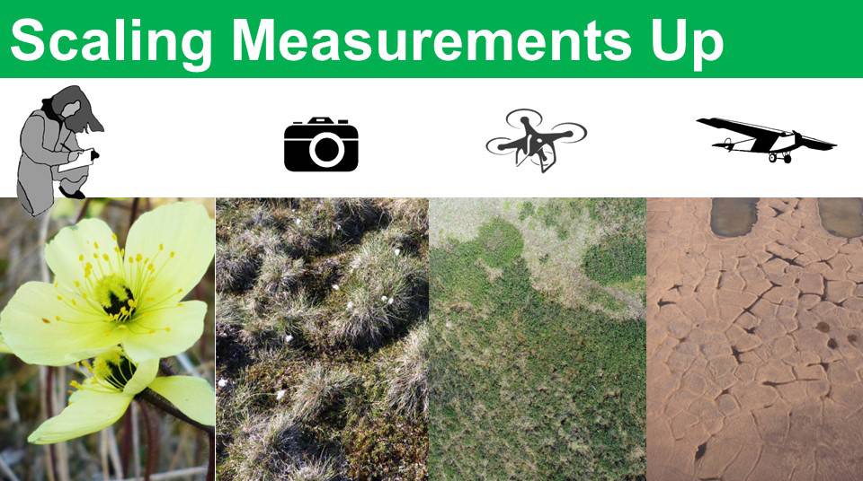 scaling measurements up